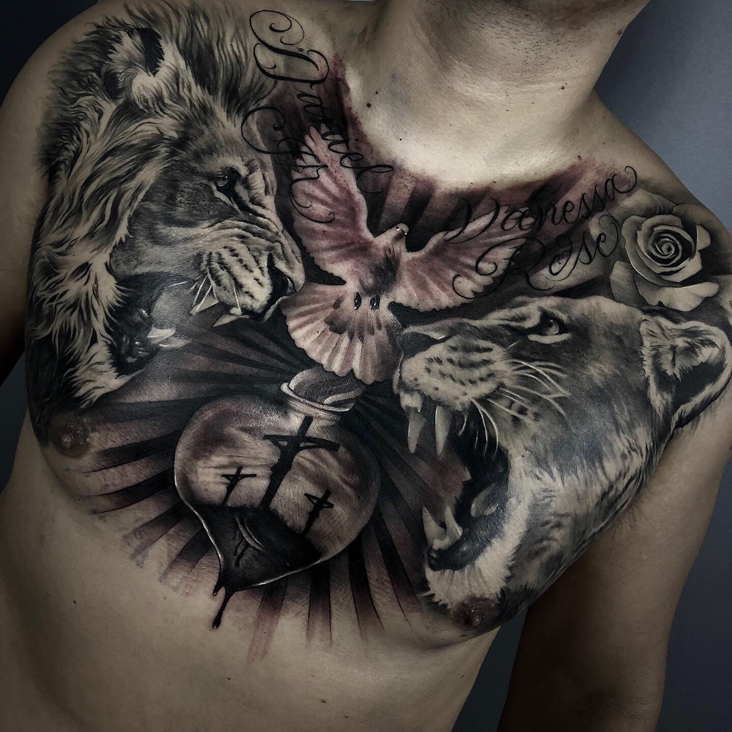 lion chest tattoos for men 0062