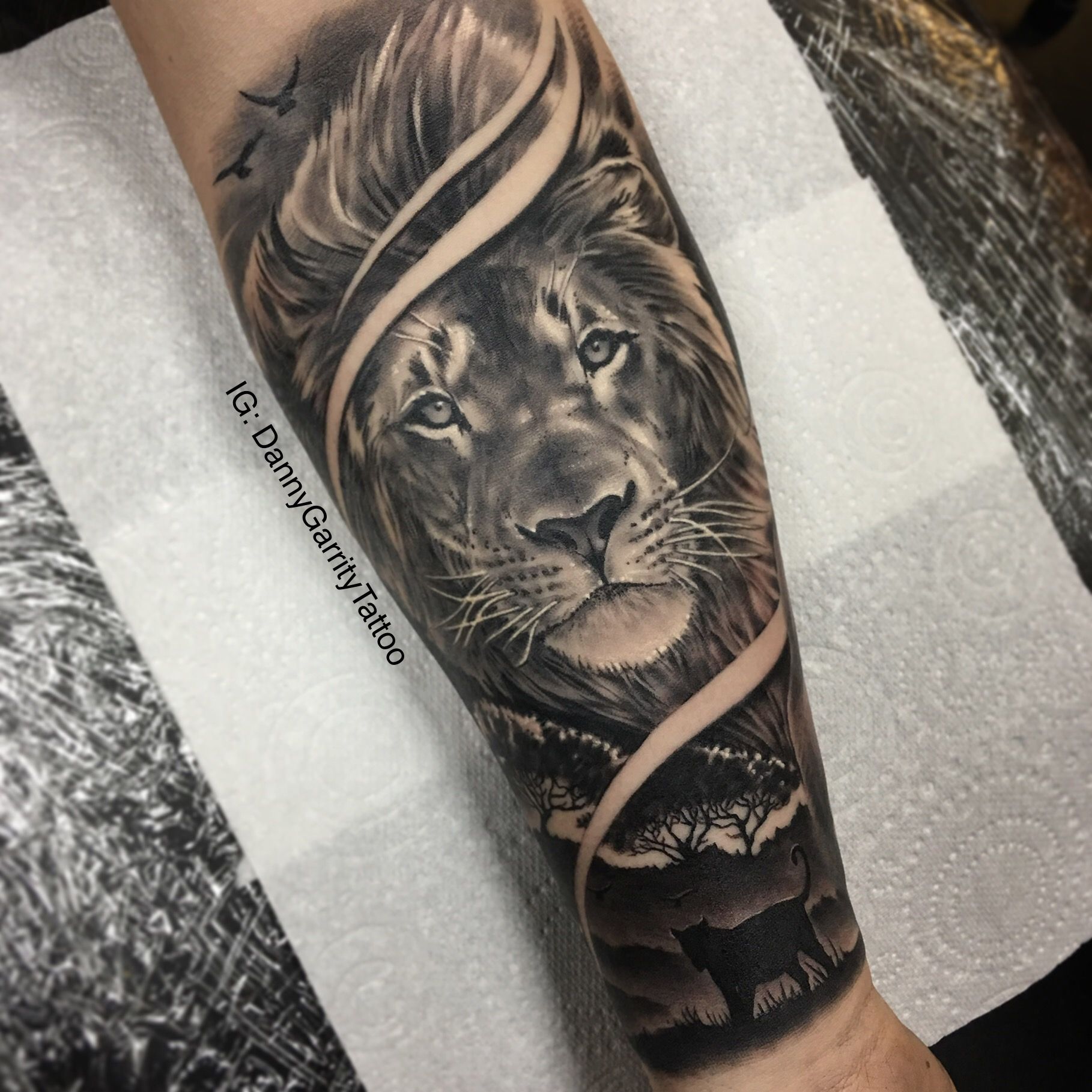 lion forearm tattoos for men 0080