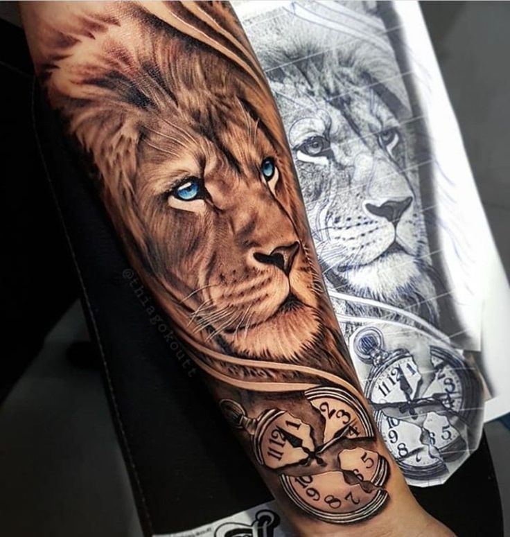 lion forearm tattoos for men 0084