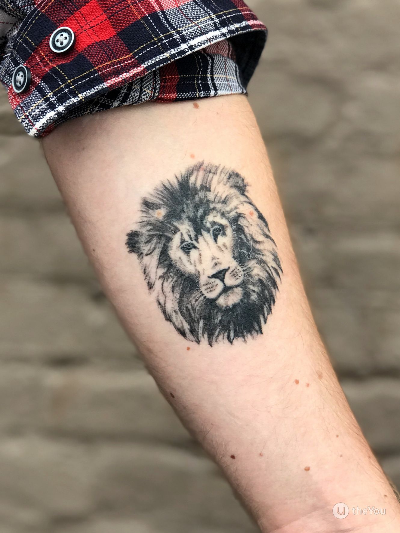 lion tattoos for men 0038