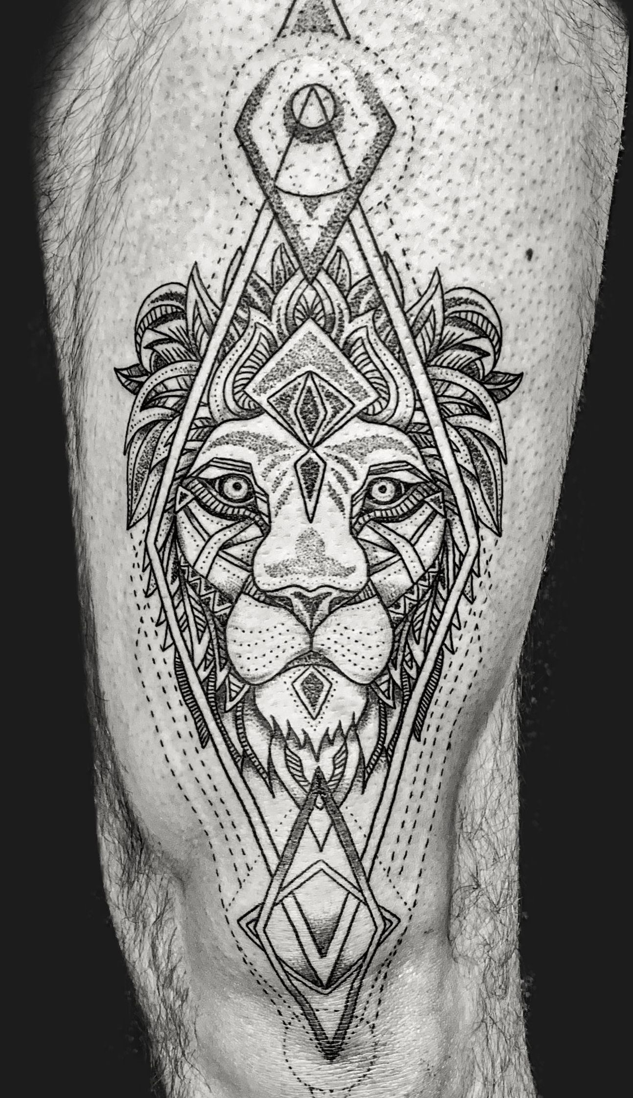 lion tattoos for men 0063