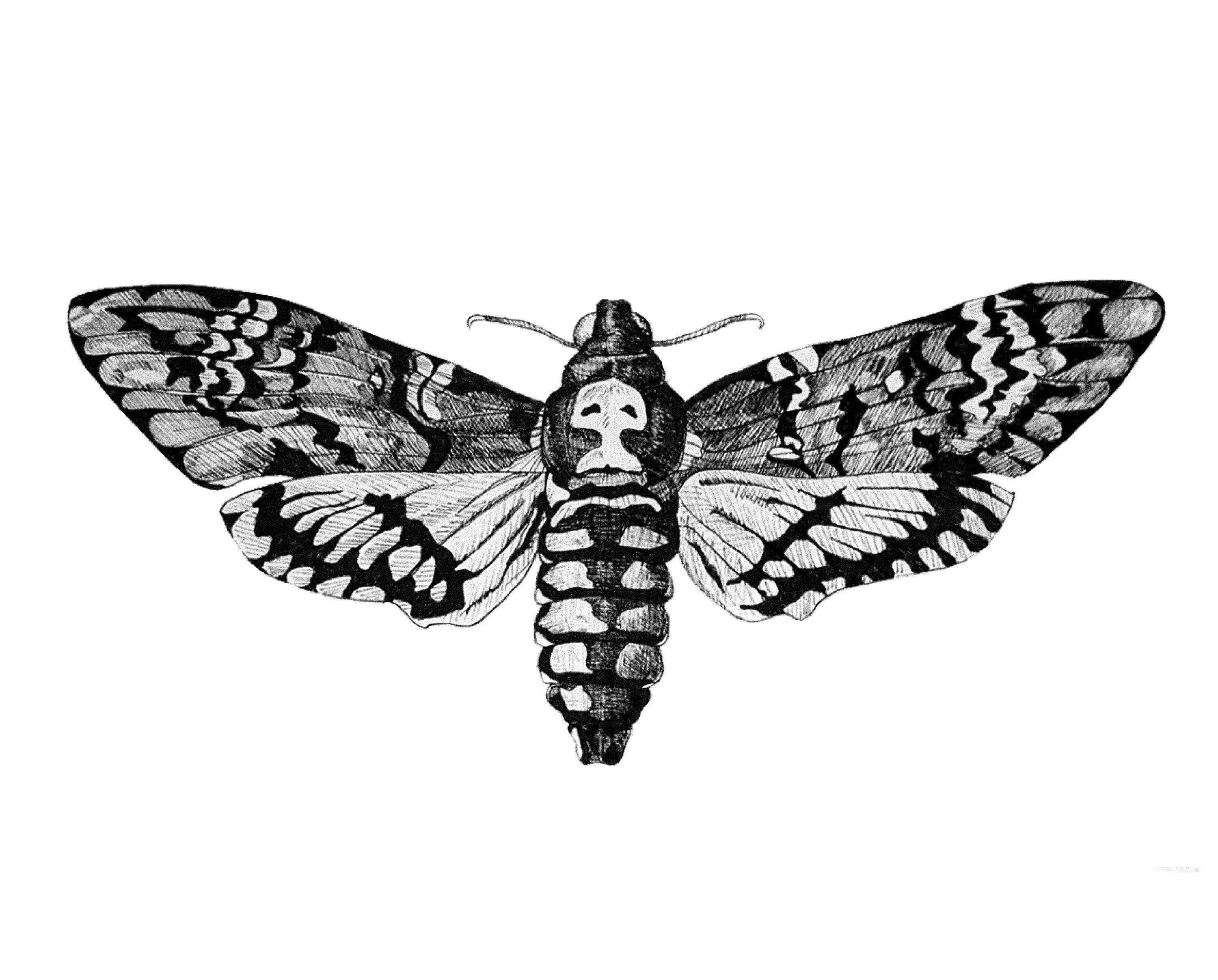 moth tattoos for men 0022