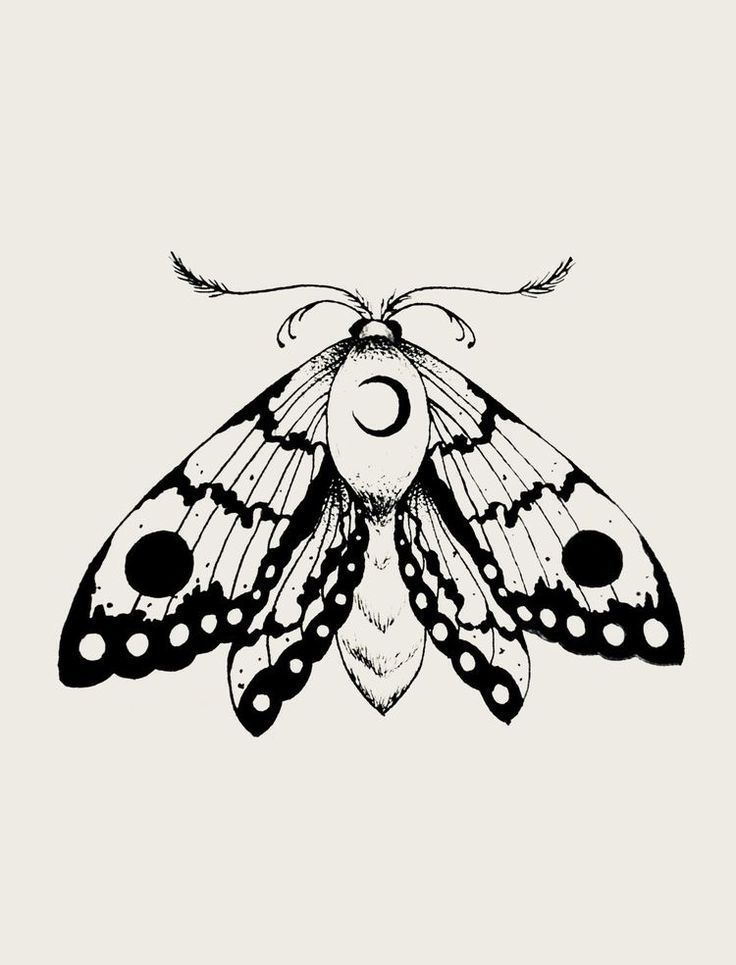 moth tattoos for men 0028