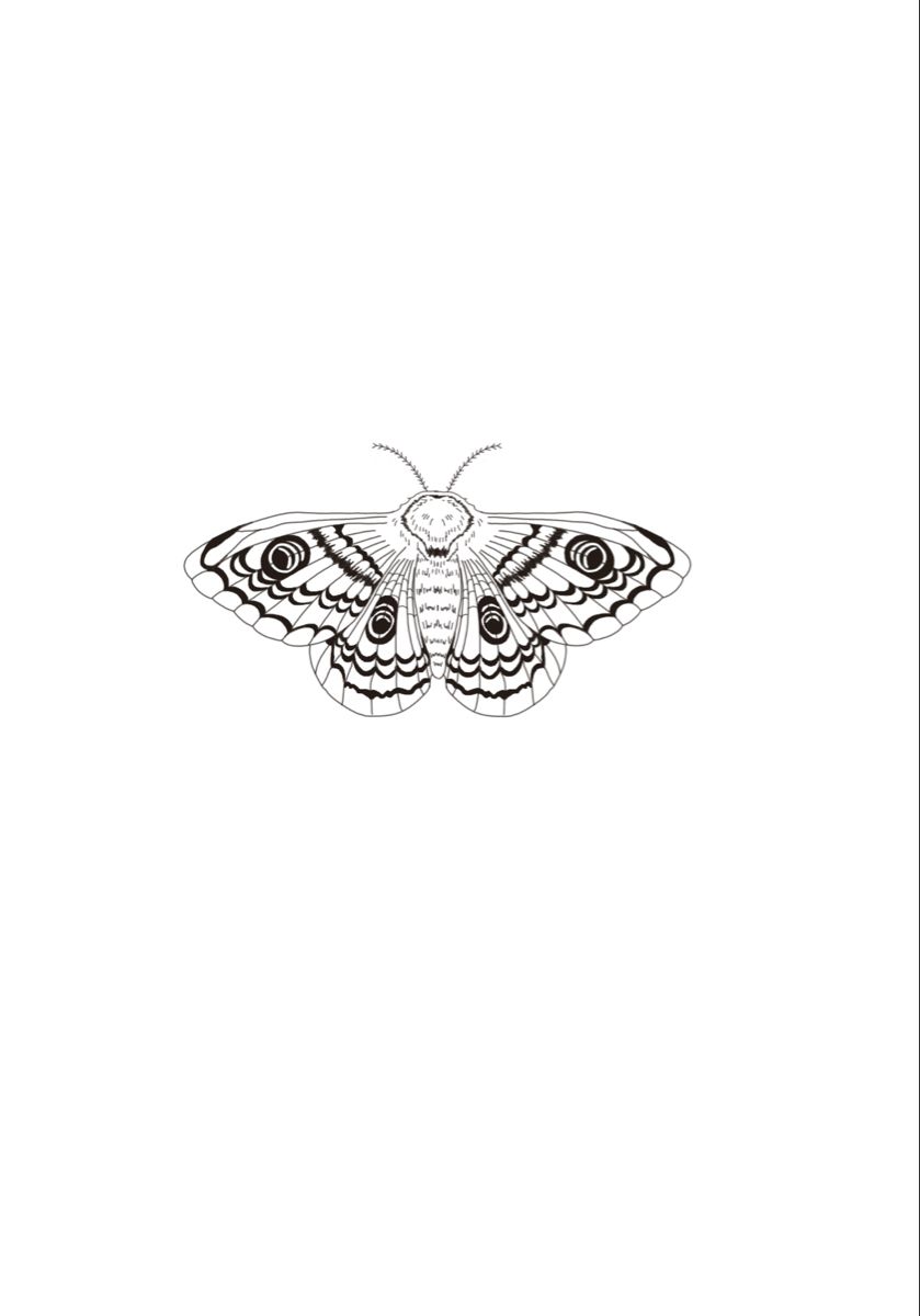 moth tattoos for men 0043