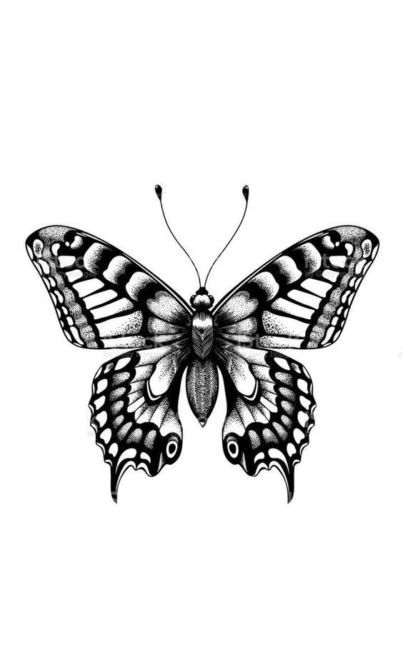 moth tattoos for men 0064