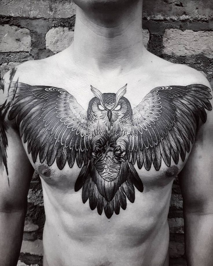 owl chest tattoos for men ideas