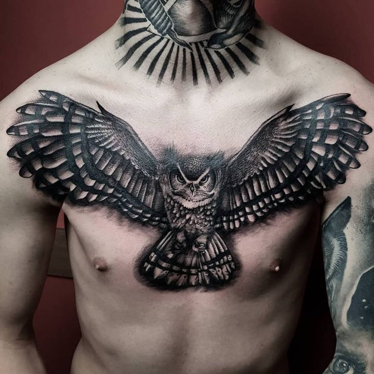 owl chest tattoos for men 0082