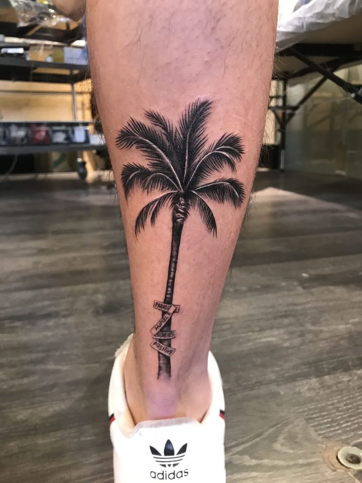 palm tree tattoo designs for men