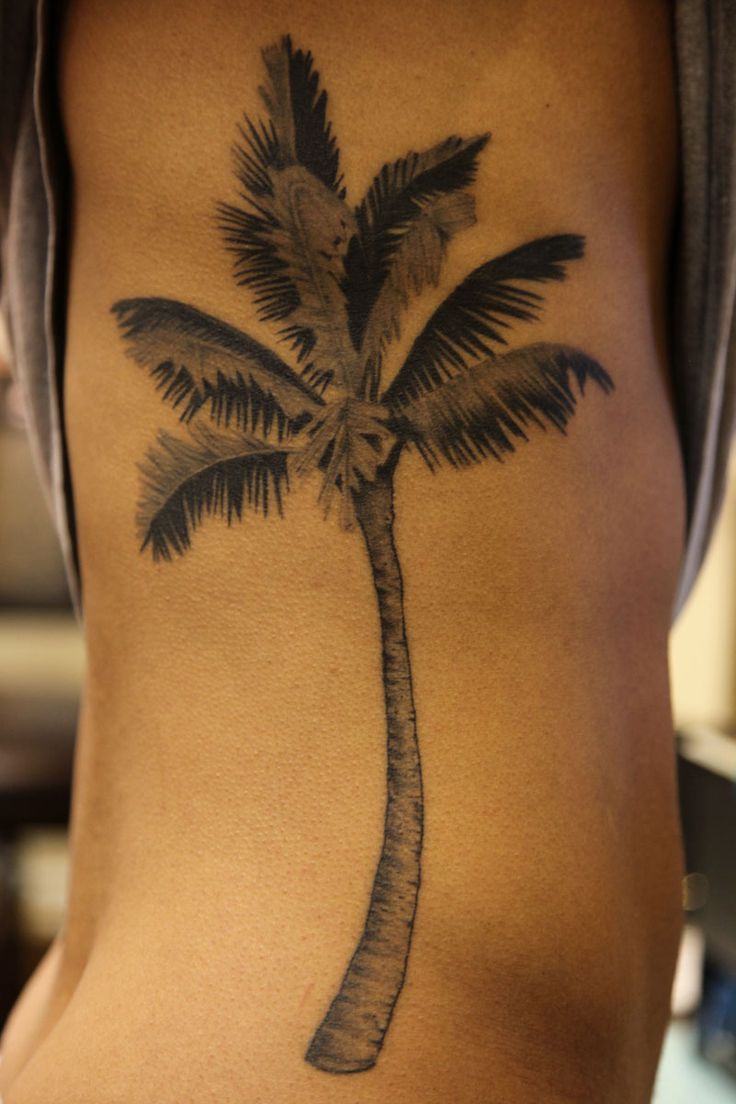 palm tree tattoos for men 0091