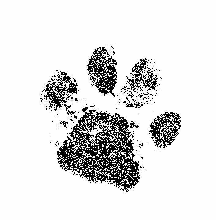 paw print tattoos for men 0025