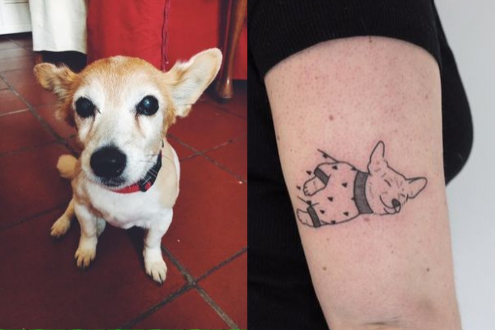 personalized dog tattoos for men