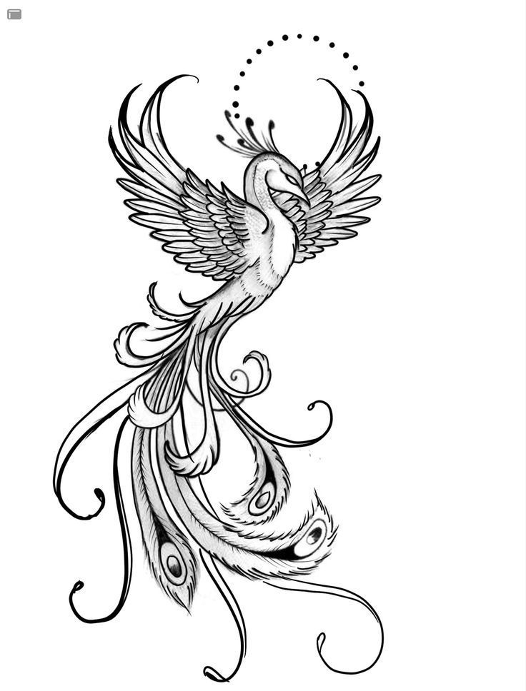 phoenix tattoos for men 0021