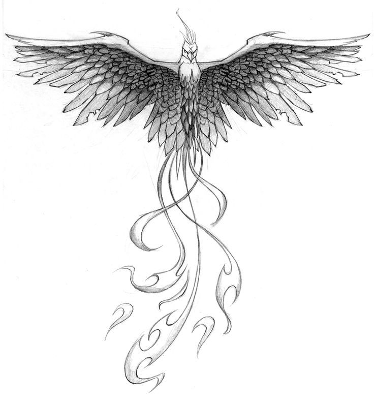 phoenix tattoos for men 0034