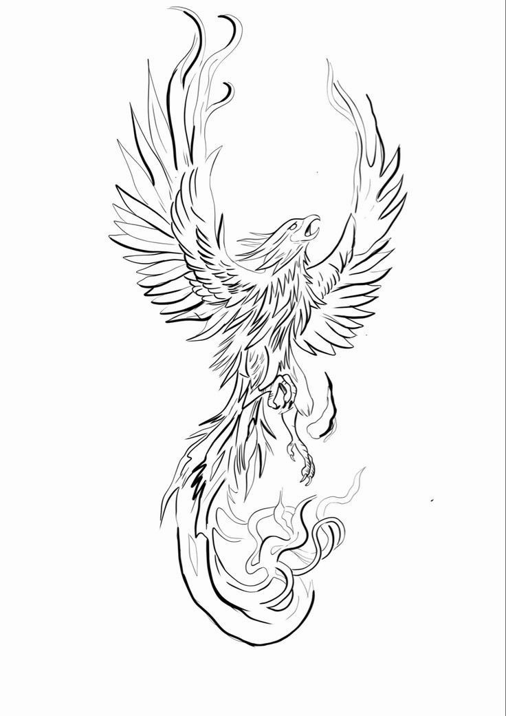 phoenix tattoos for men 0063