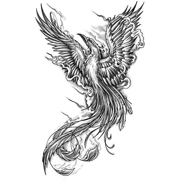 phoenix tattoos for men 0073