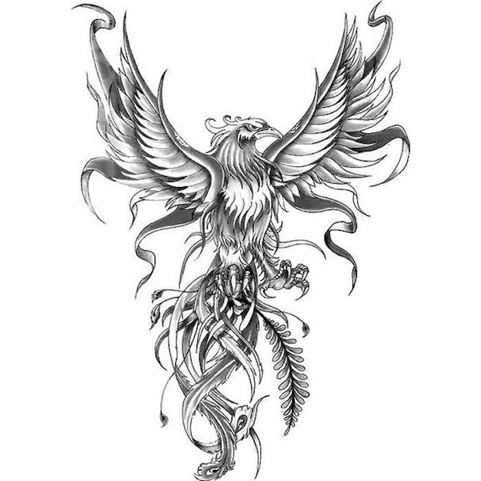 phoenix tattoos for men 0080