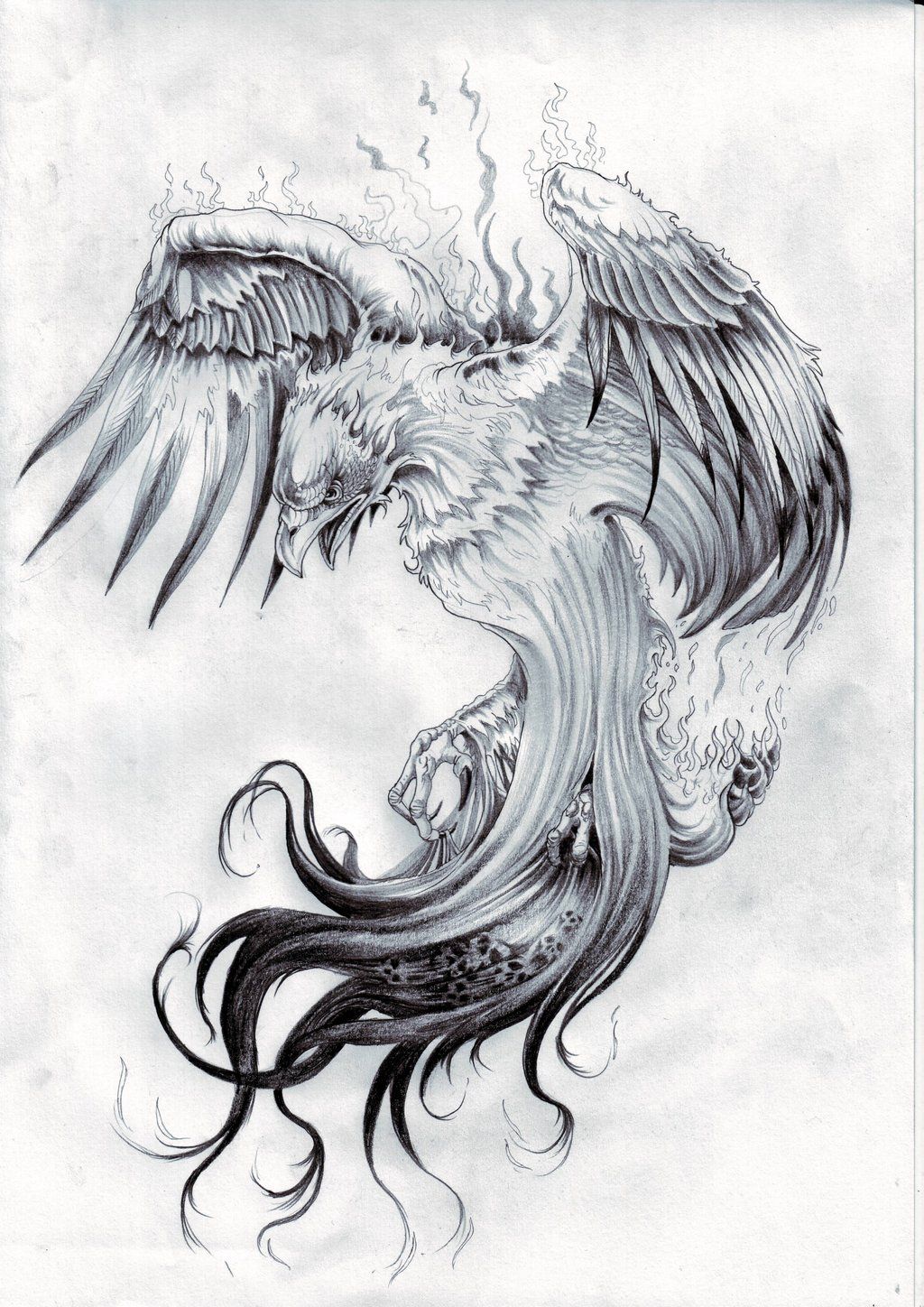 phoenix tattoos for men 0098