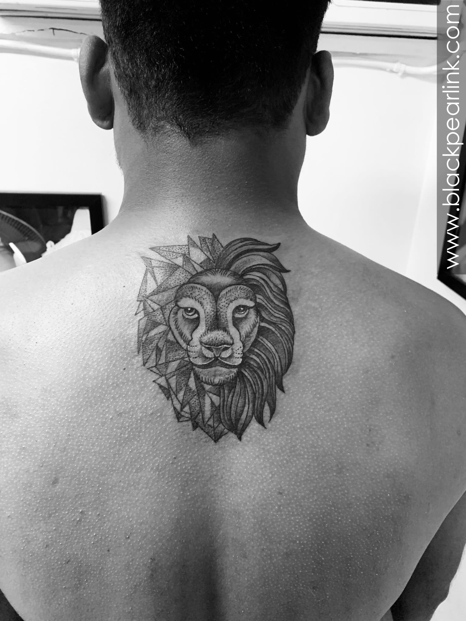 popular lion back tattoo styles for men