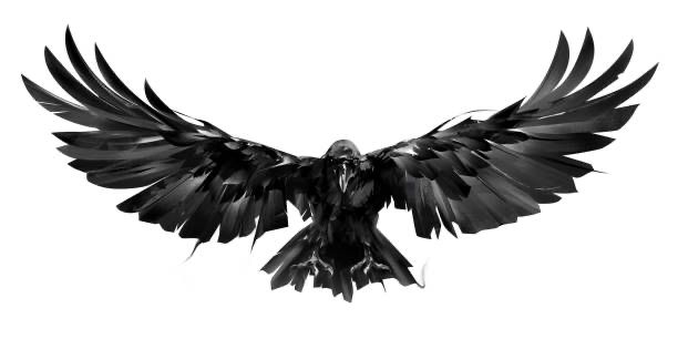 raven tattoos for men 0022