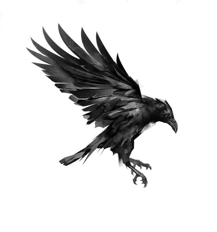 raven tattoos for men 0029