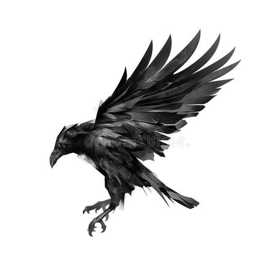 raven tattoos for men 0031