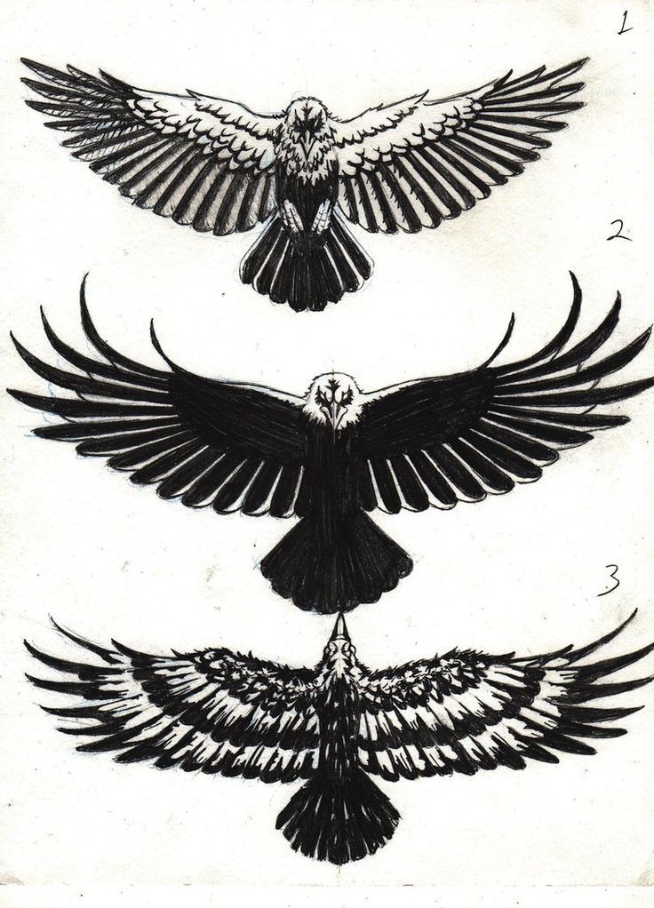 raven tattoos for men 0040