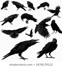 raven tattoos for men 0077