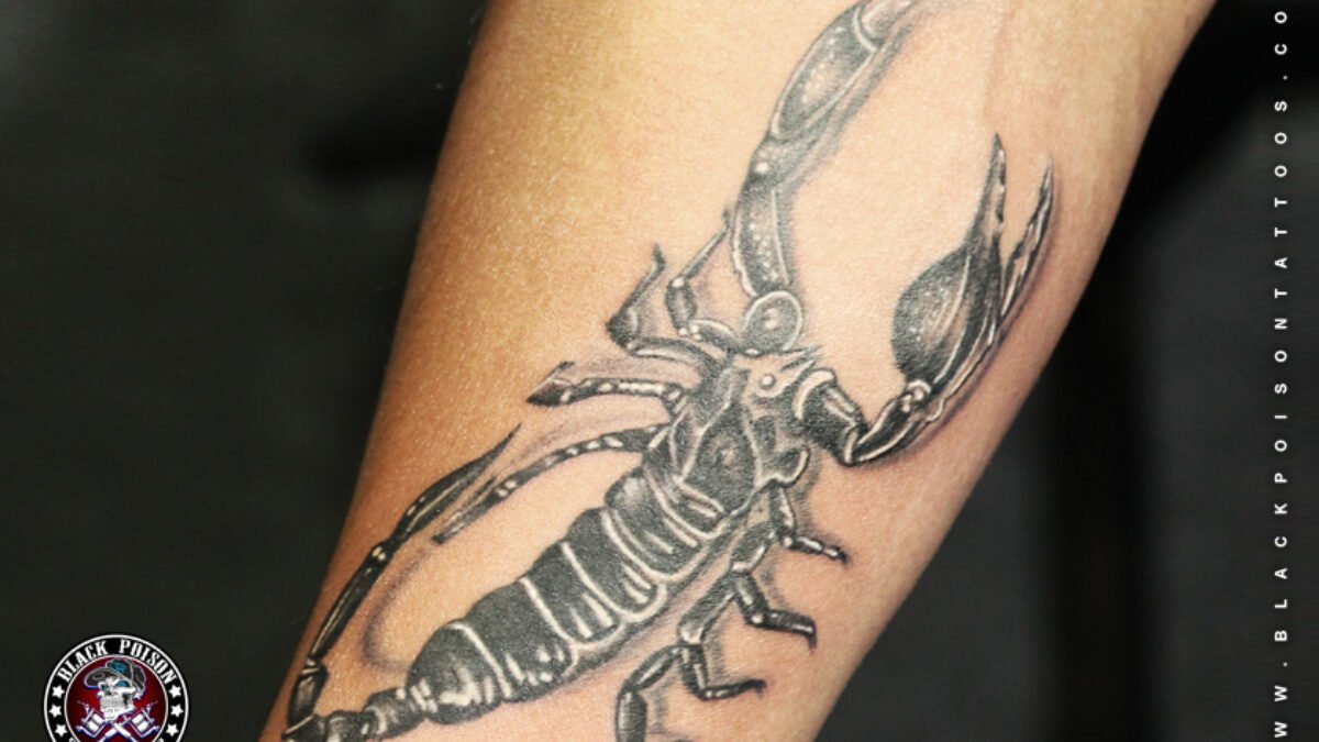 Scorpion tattoos for men 0012