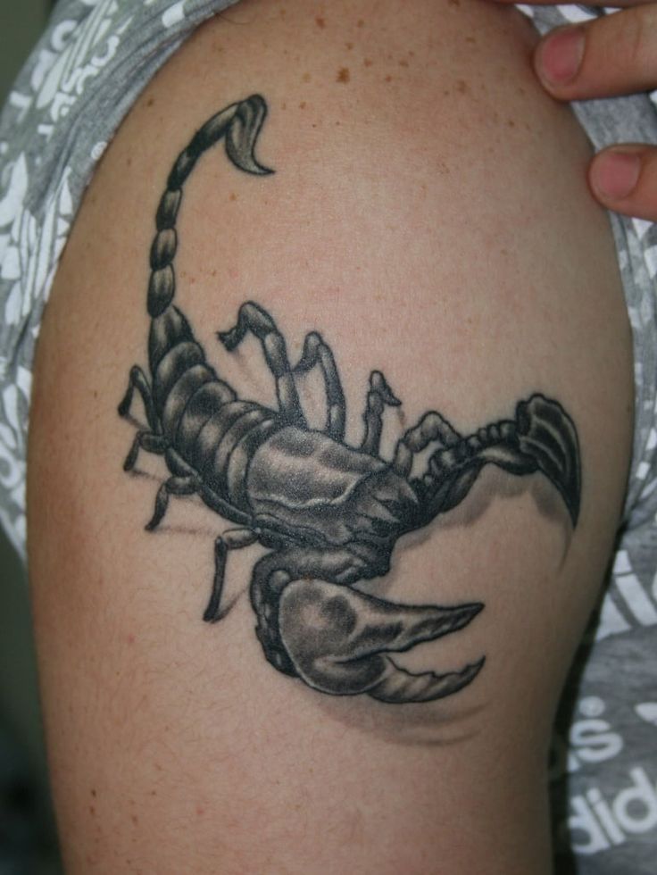 Scorpion tattoos for men 0015