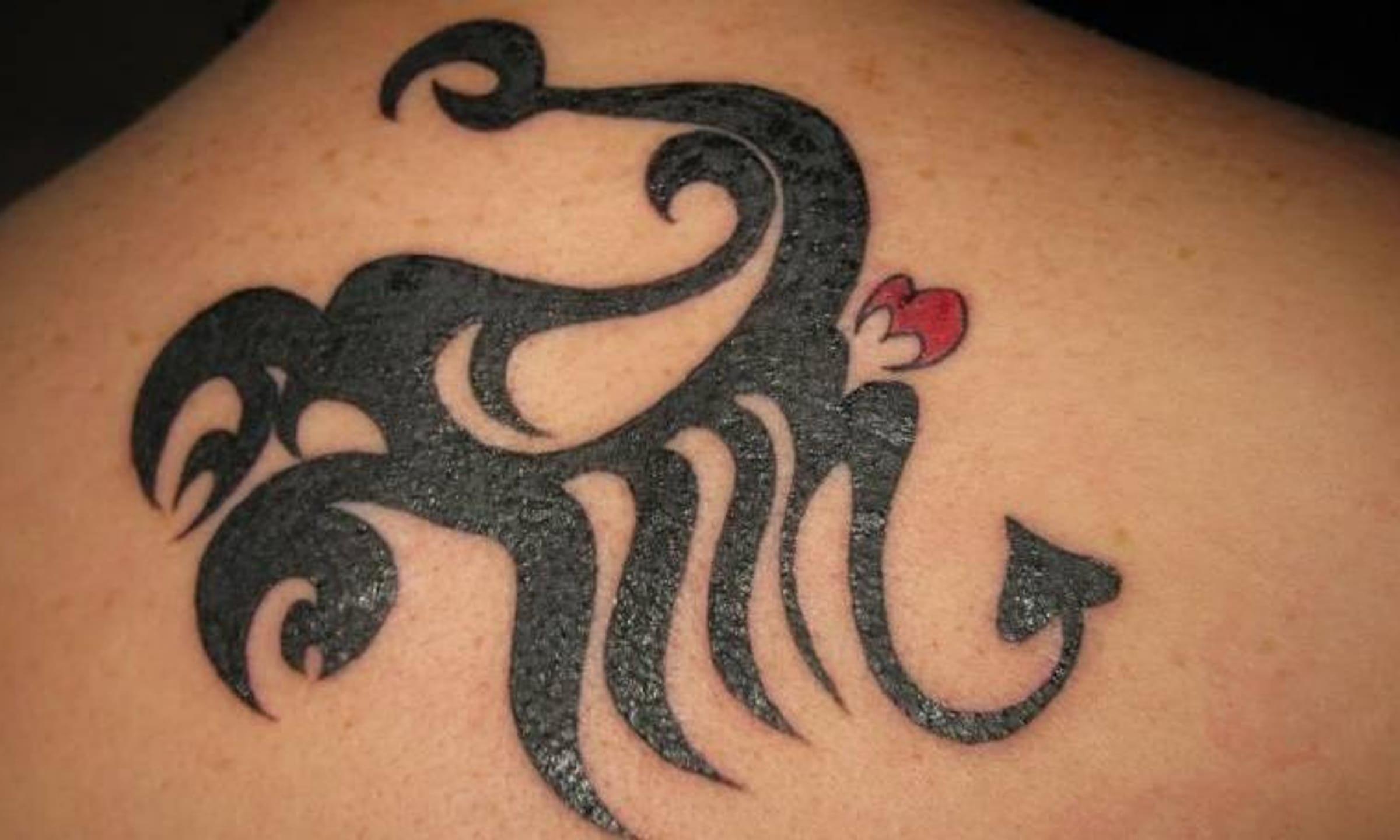 Scorpion tattoos for men 0035