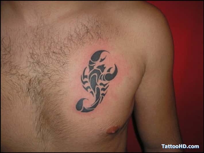 Scorpion tattoos for men 0059