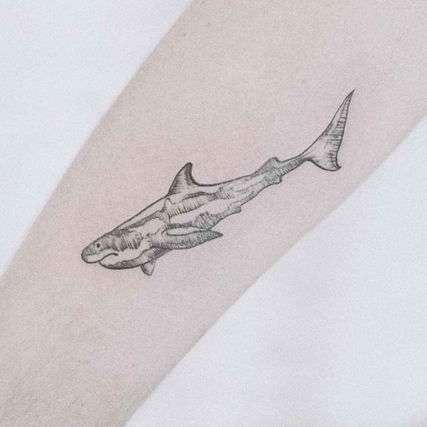 shark tattoos for men 0014