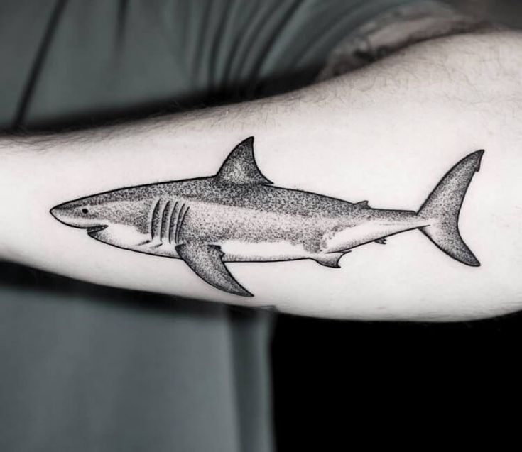 shark tattoos for men 0046