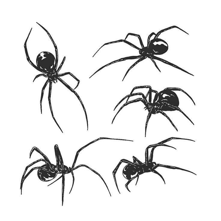 spider tattoos for men 0013