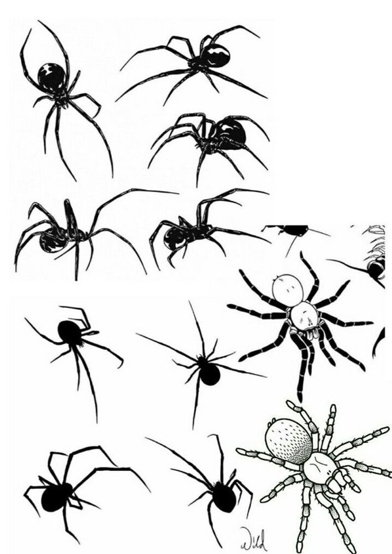 spider tattoos for men 0019