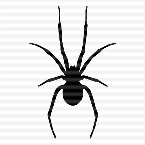 spider tattoos for men 0023