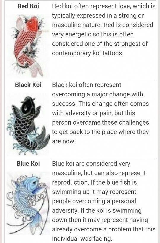 tattoos for men koi fish 0089