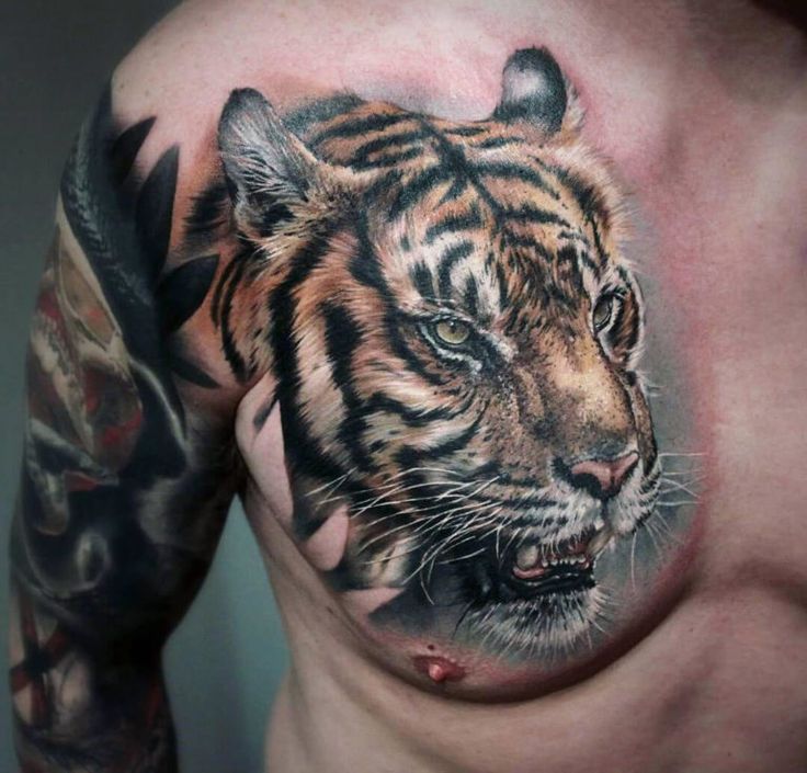 tiger tattoos for men 0024