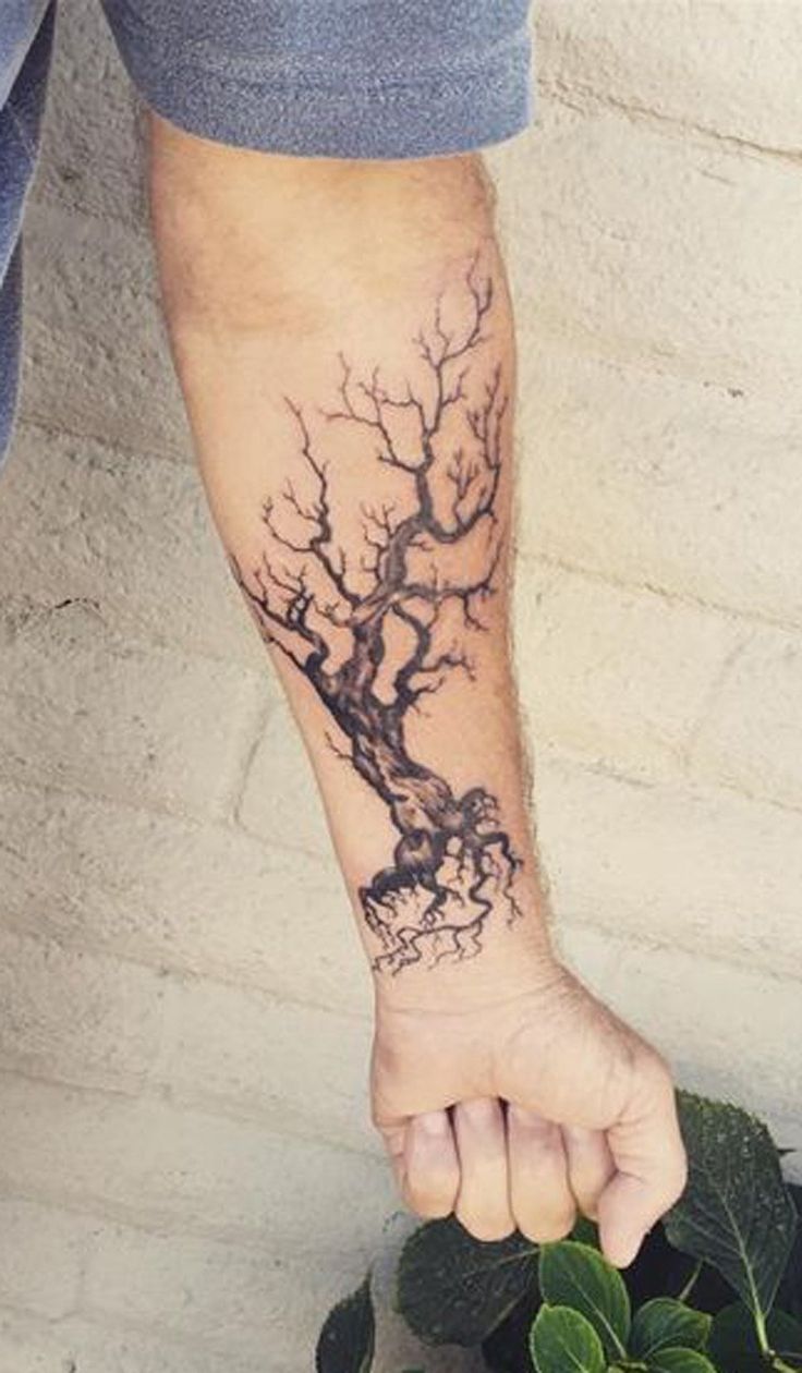 tree tattoos for men 0049