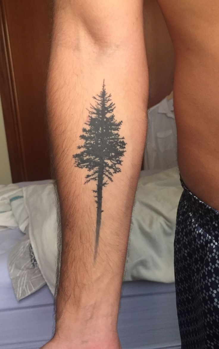 tree tattoos for men 0050