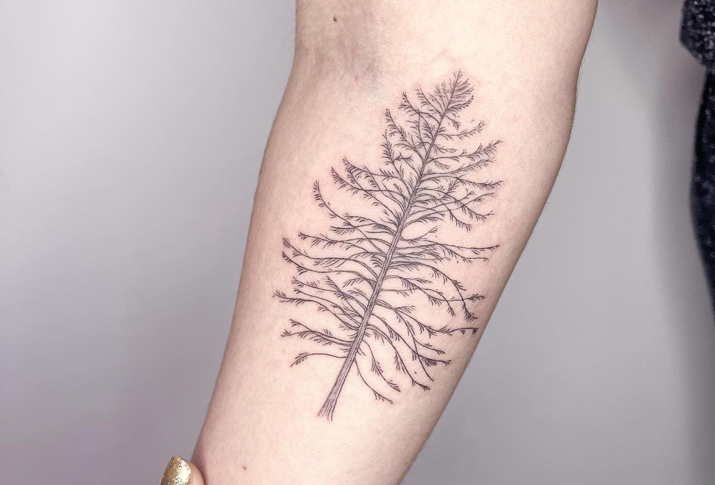 tree tattoos for men 0060