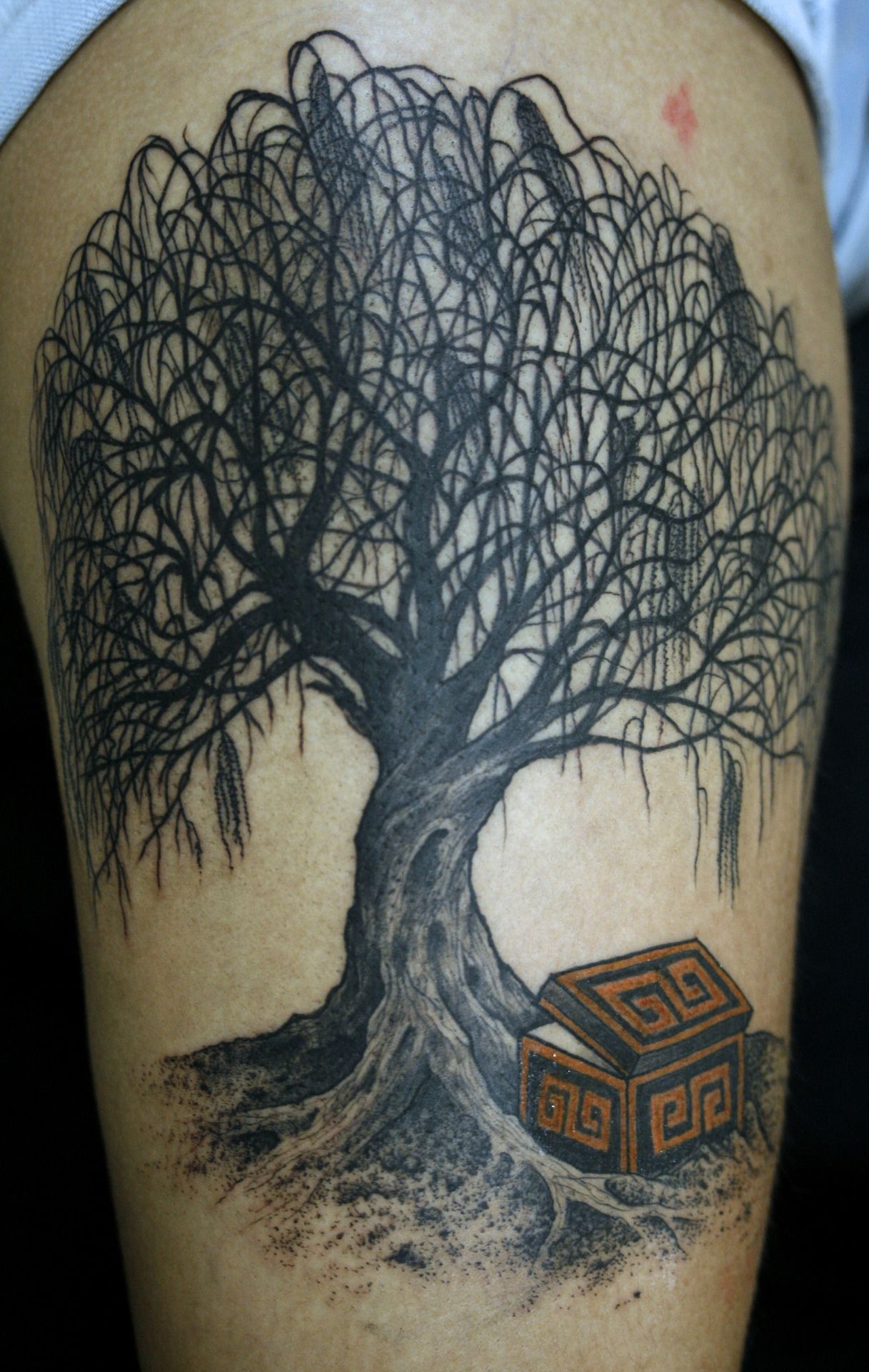 tree tattoos for men 0084