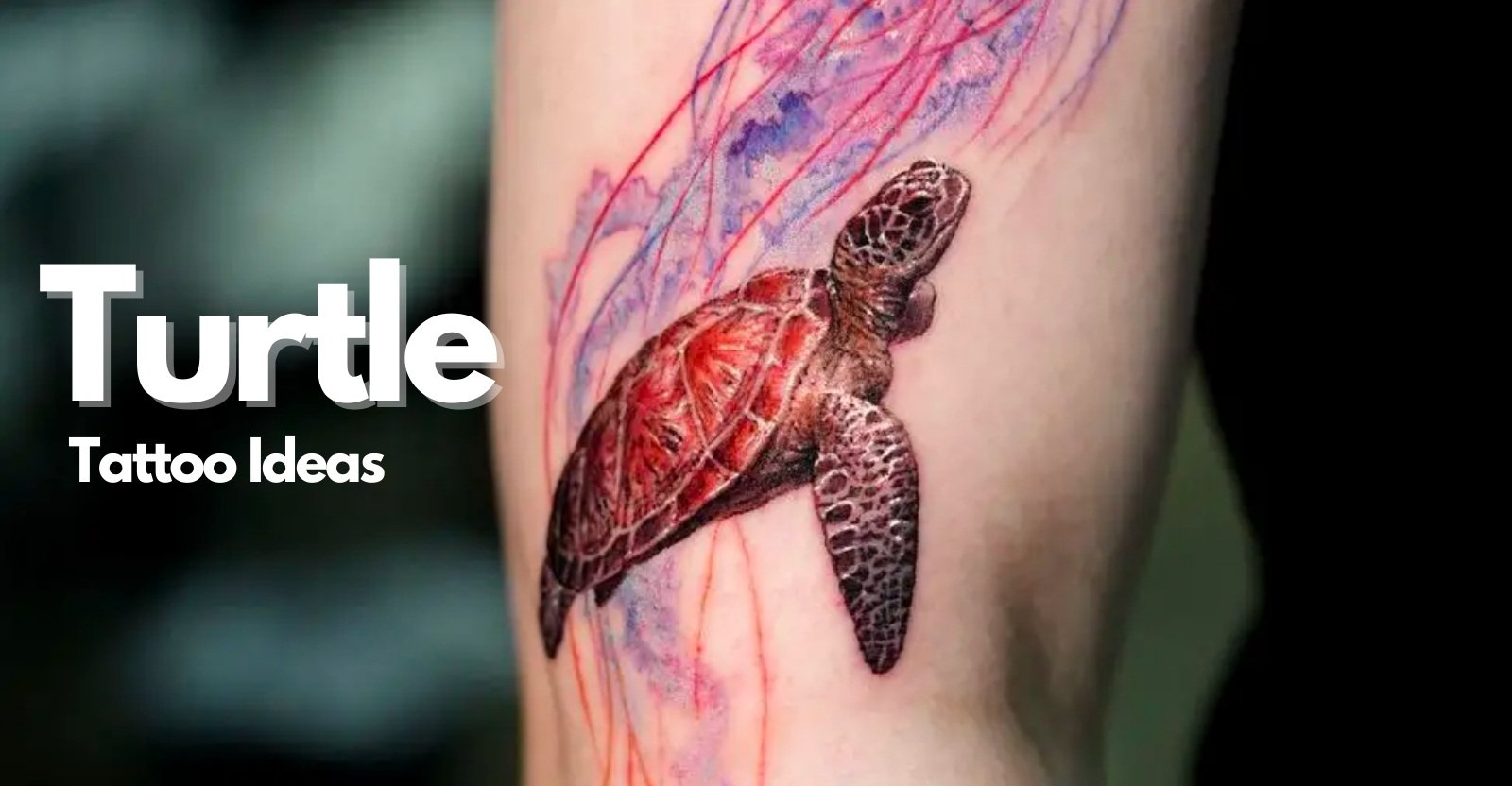 turtle tattoos for men 0016