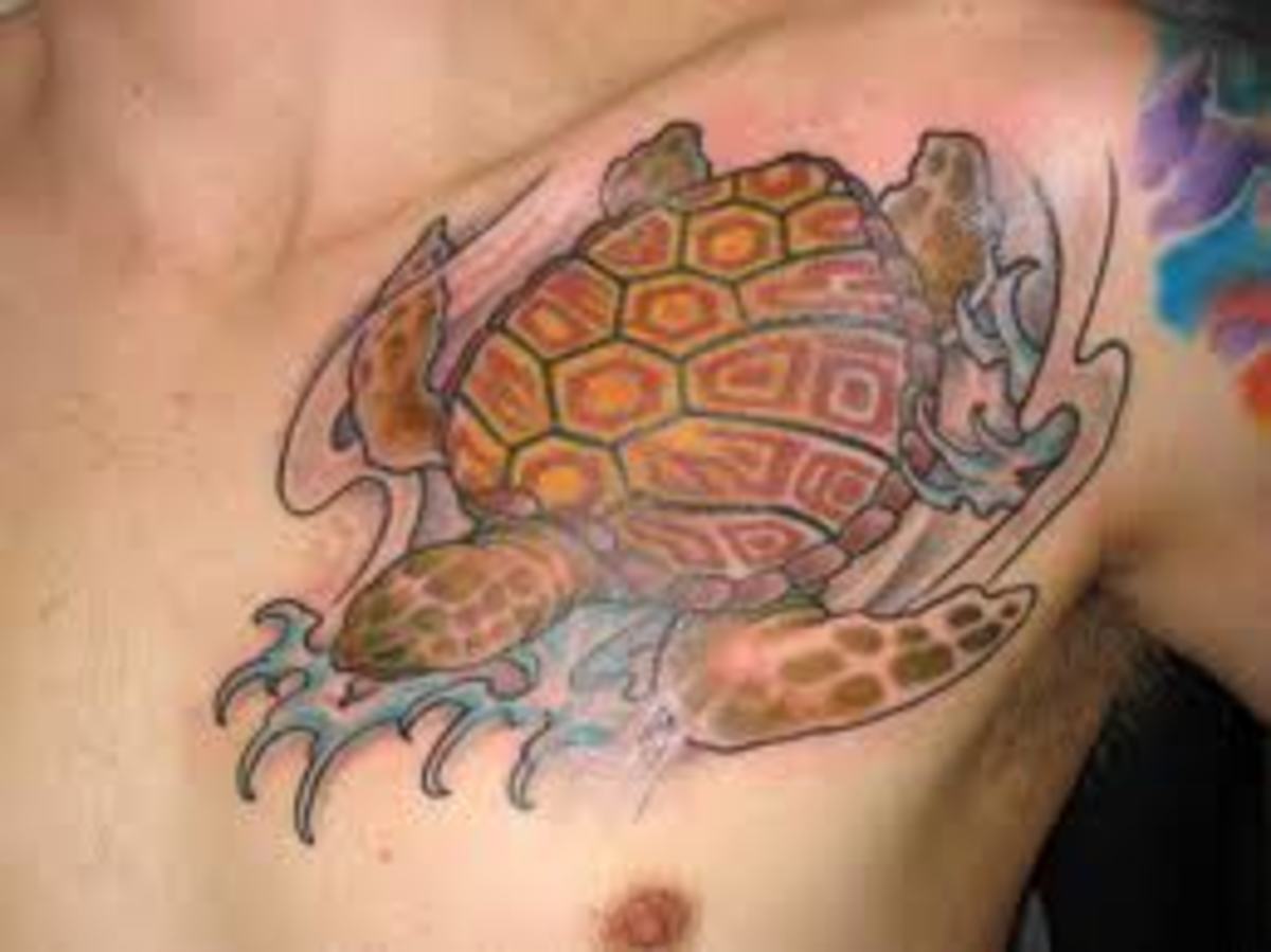 turtle tattoos for men 0039