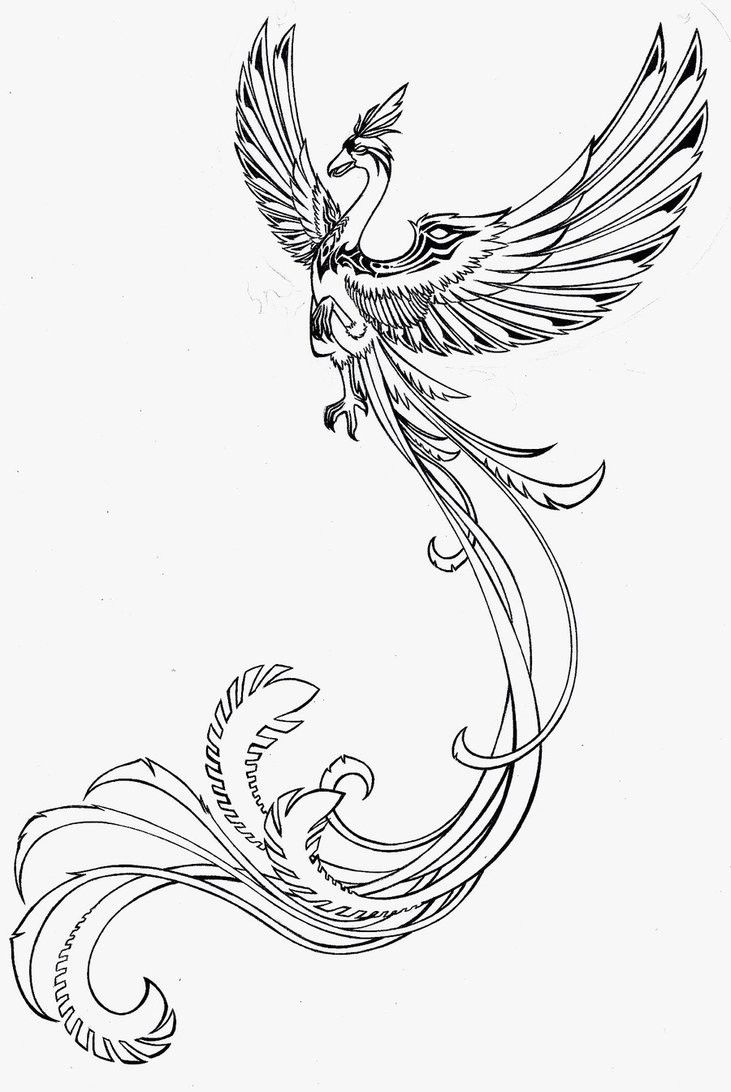 unique phoenix tattoo ideas for men.